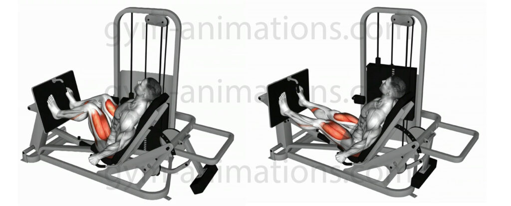 Horizontal Leg Press