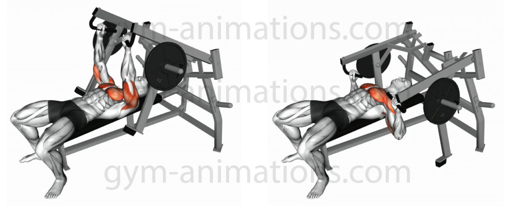 Lying Chest Press