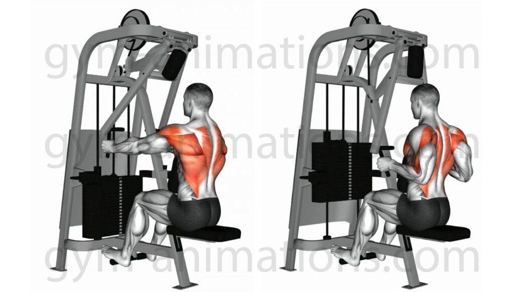 Machine Seated Row