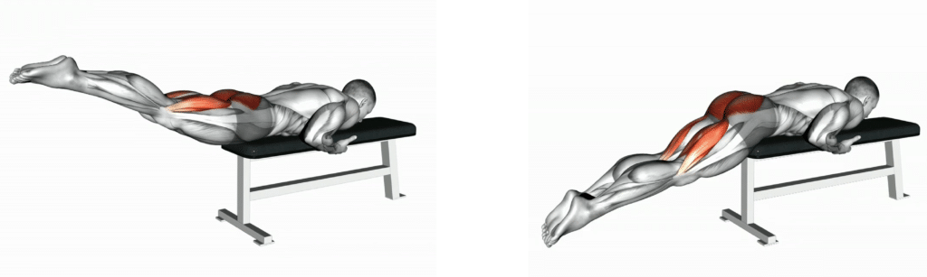 Reverse Hyper on Flat Bench