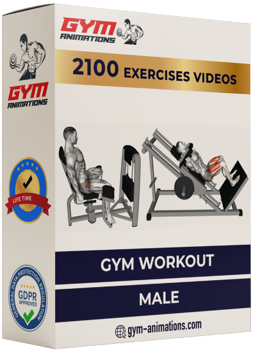 Gym workout male