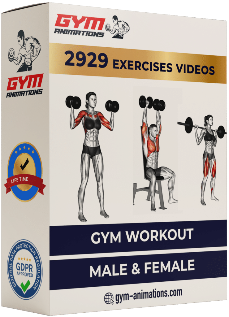 gym animations male female