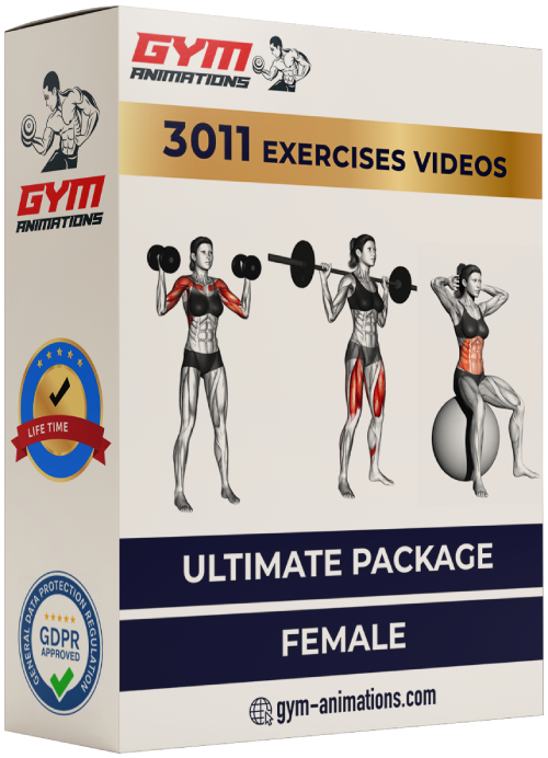 gym animations male female