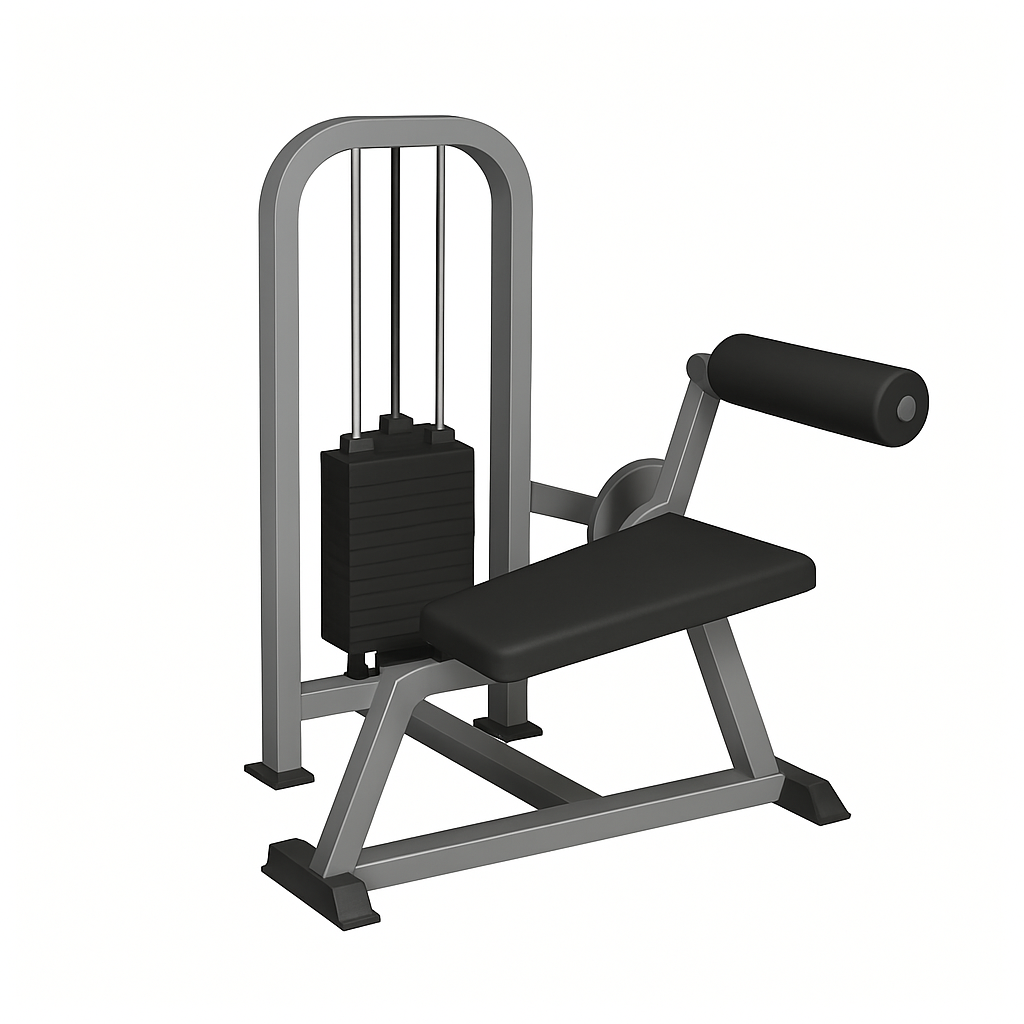 Seated Back Extension Machine