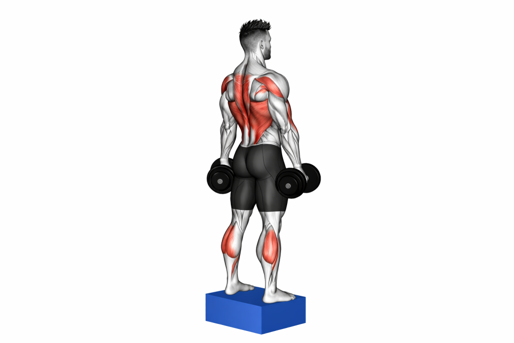 Romanian Deadlift GIF_