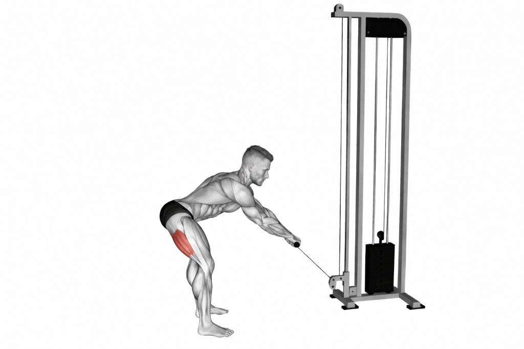 Romanoian Deadlioft Machine GIF