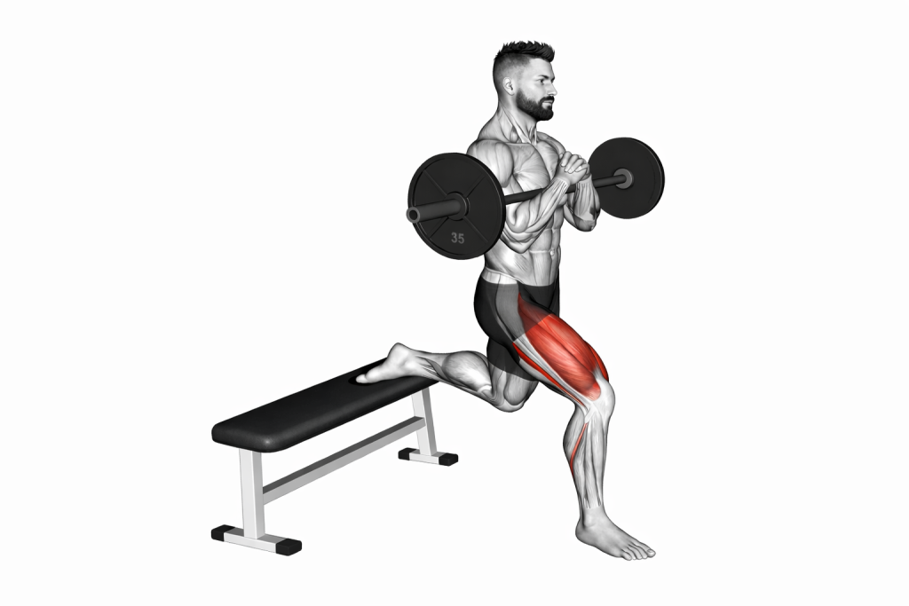 Bulgarian split squat GIF