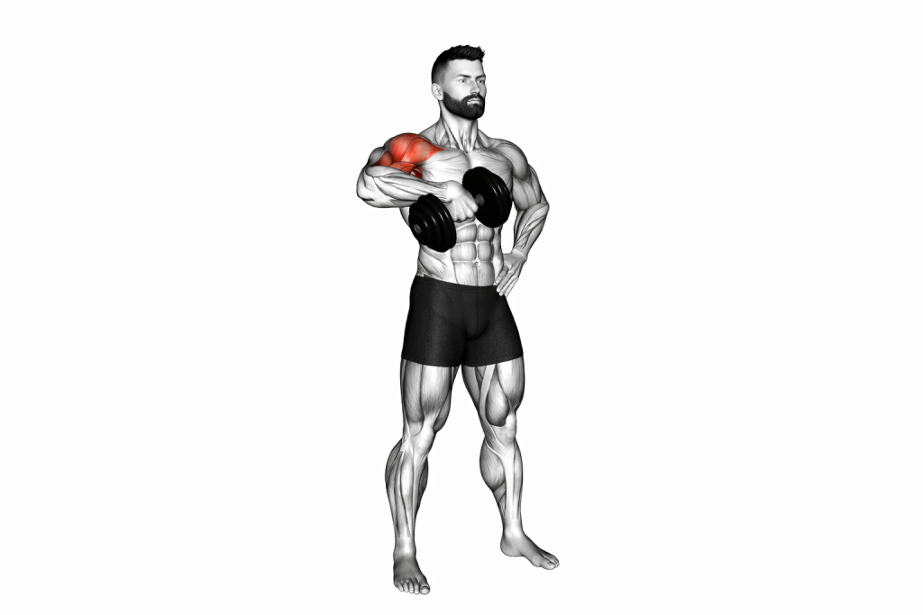 one arm dumbbell row