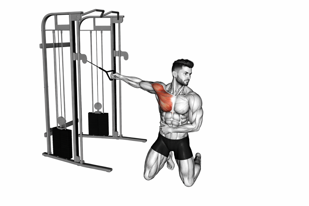 single arm cable fly