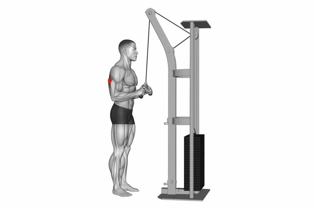 V Bar Tricep Exntesion GIF