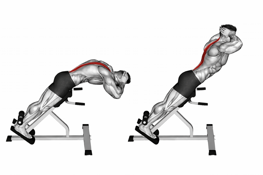 45 Degrees Back Extension