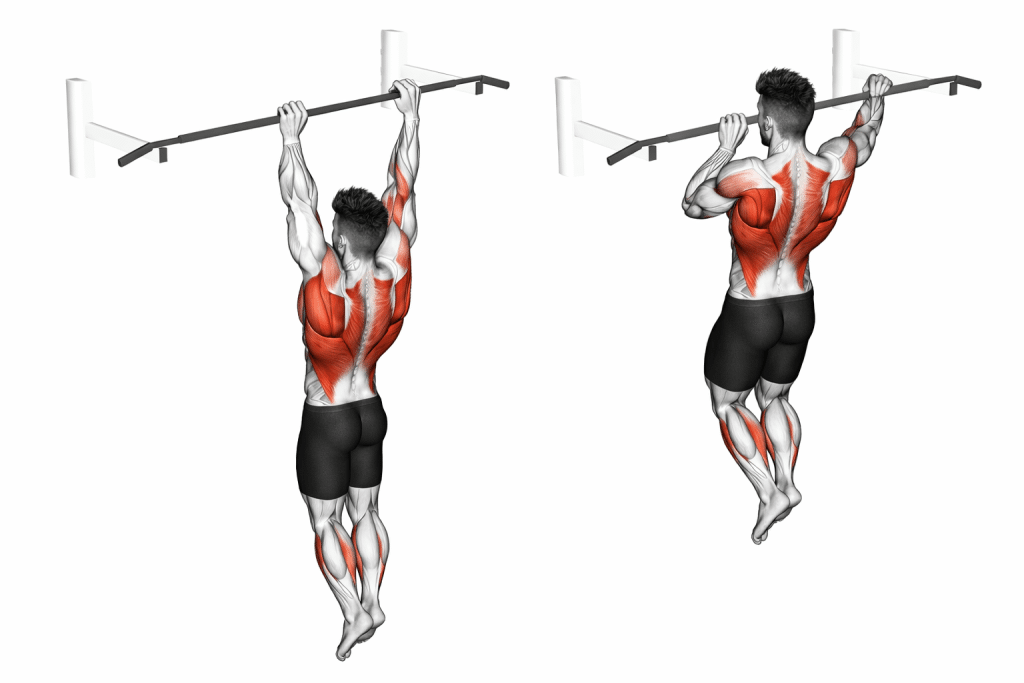 Archer Pull-up