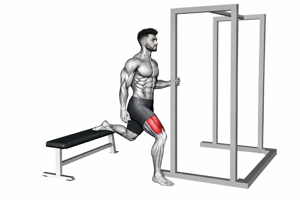 Assisted Bulgarian Split Squat
