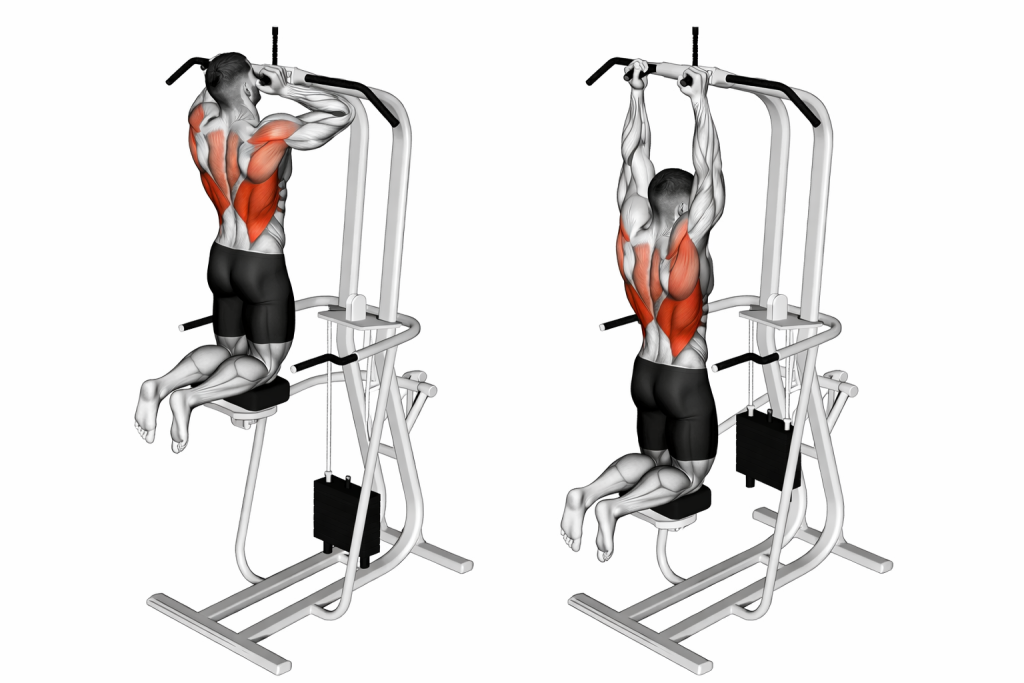 Assisted Parallel Close Grip Pull Up