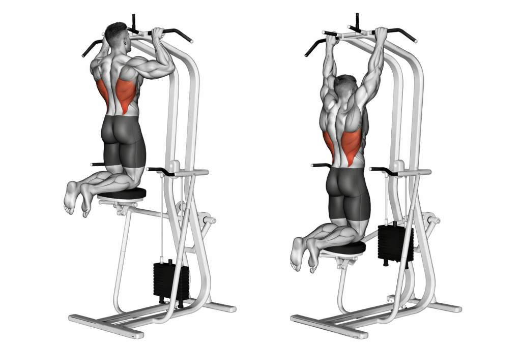 Assisted Pull Up