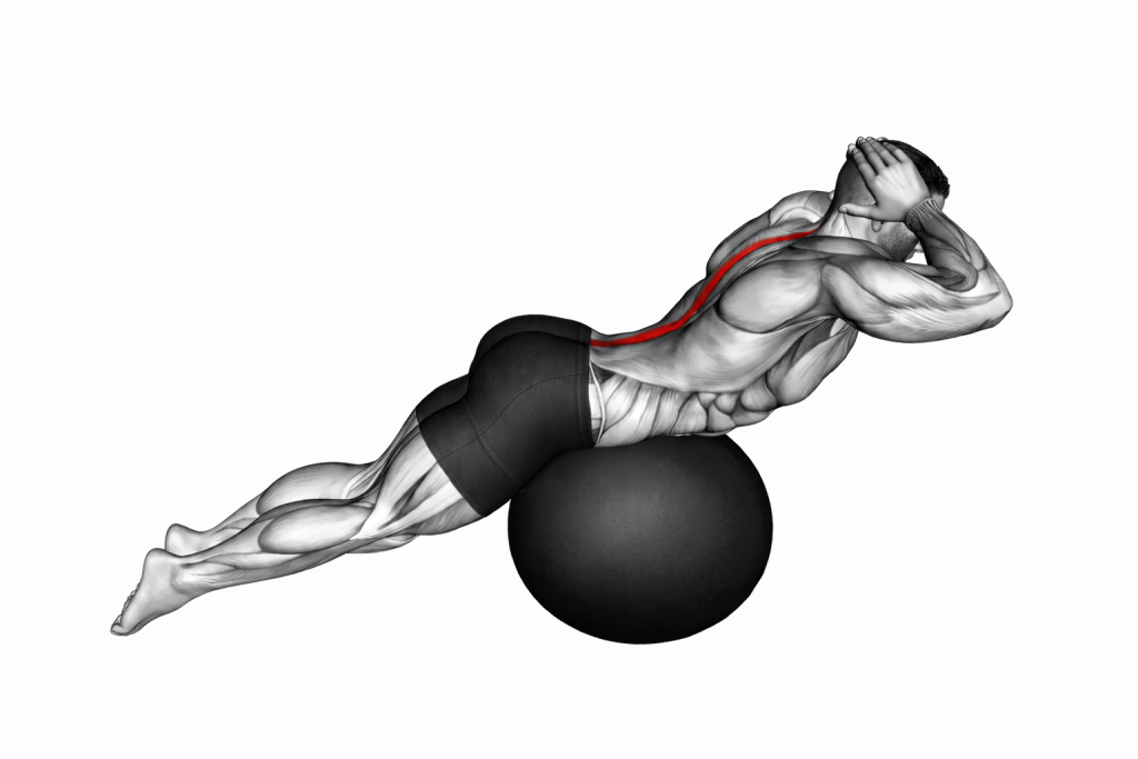 Back Extension on Exercise Ball