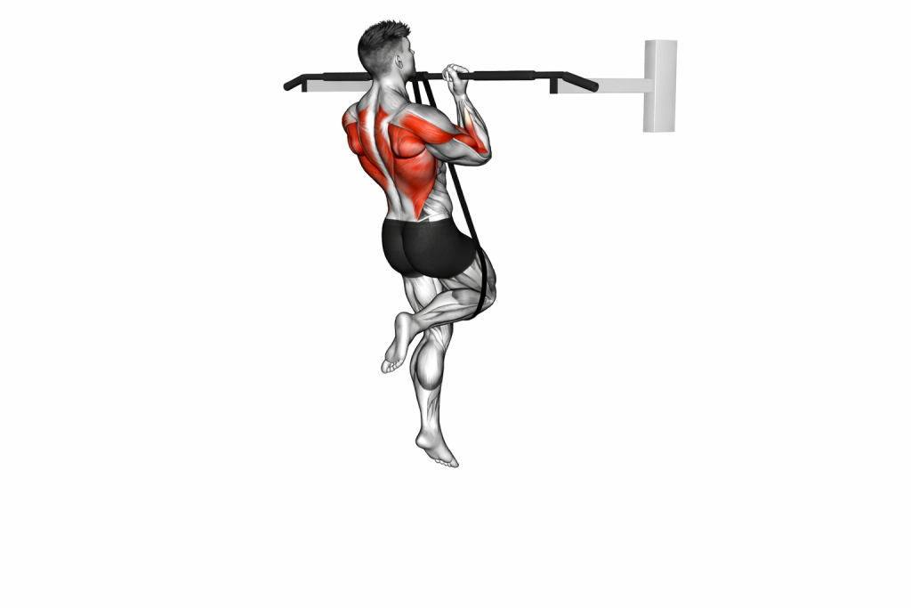 Band Assisted Chin Up