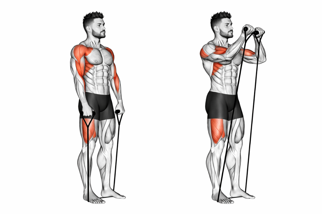 Band Hammer Curl