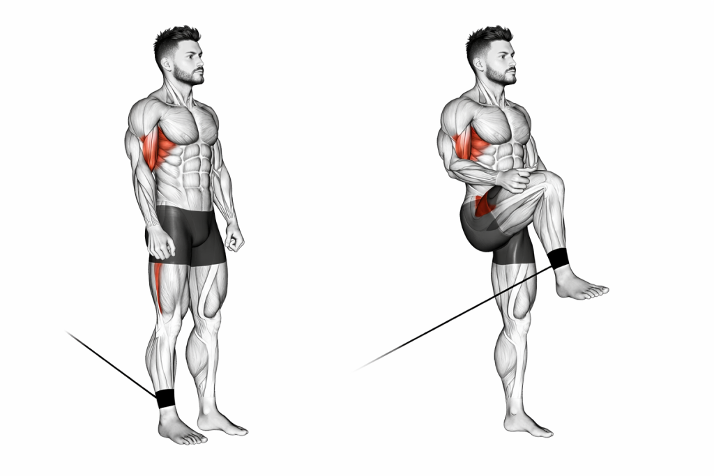 Band Hip Flexion