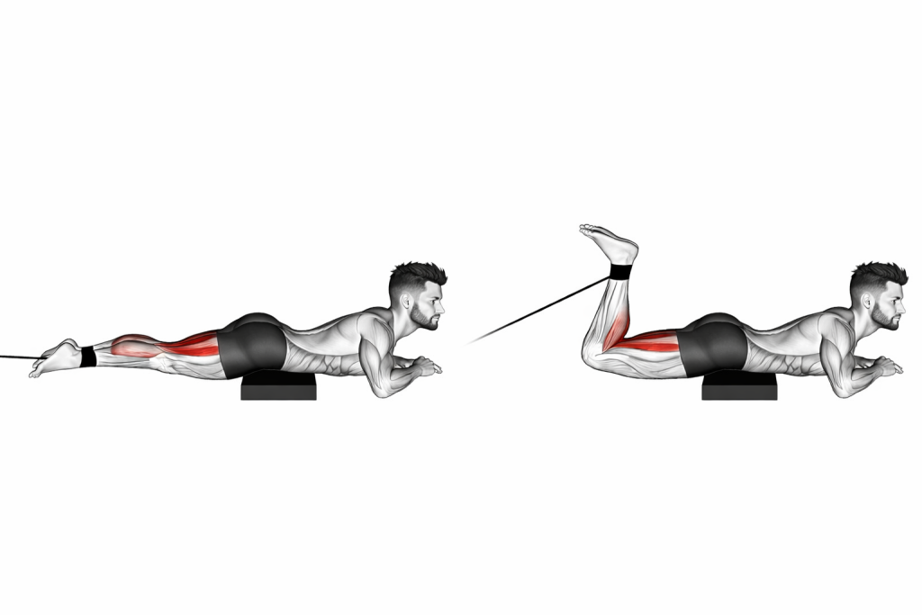 Band Lying Leg Curl