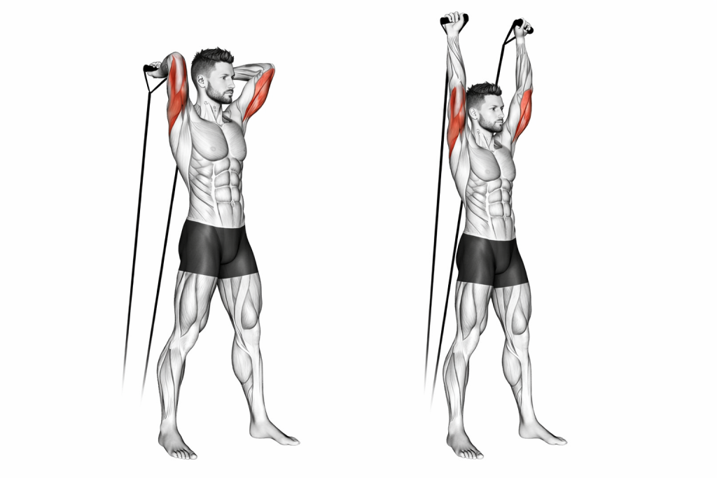 Band Overhead Triceps Extension
