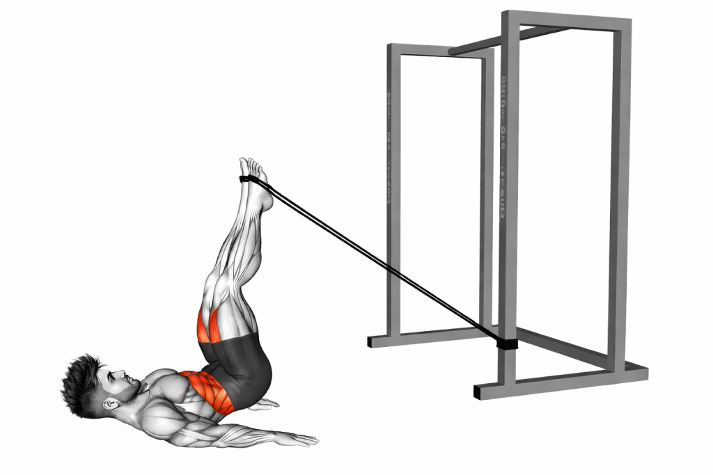 Band Reverse Crunch