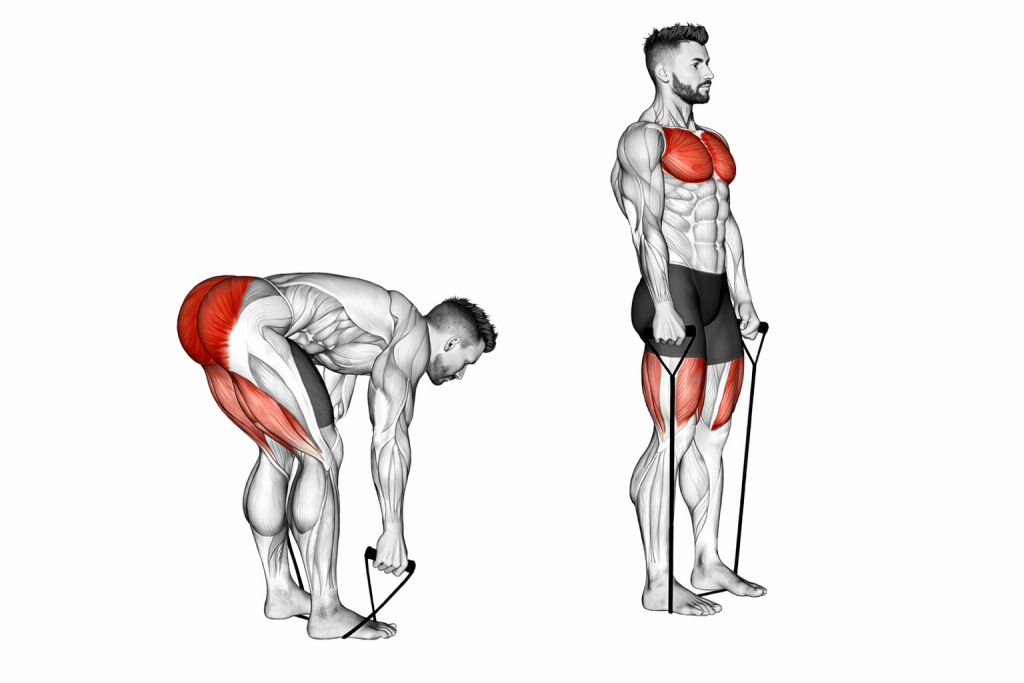 Band Stiff Leg Deadlift