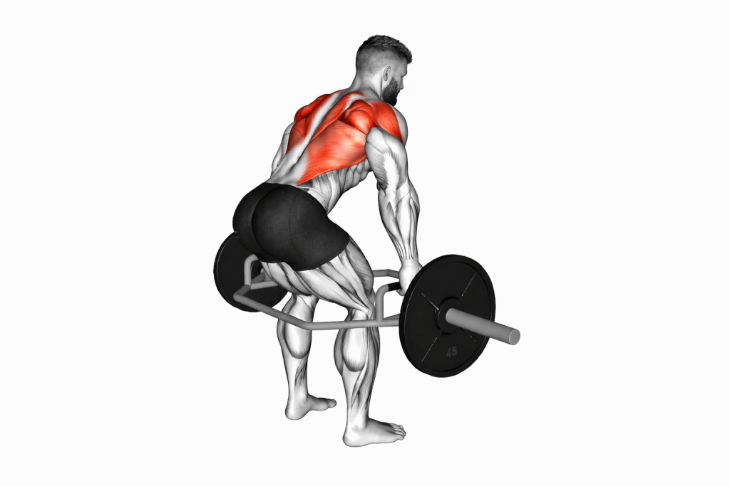 Bent Over Row