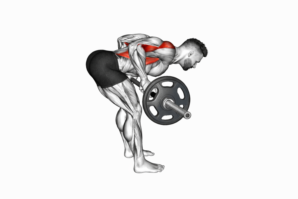 Bent Over Rows