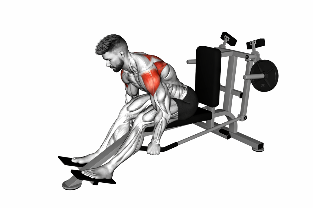 Back delt fly