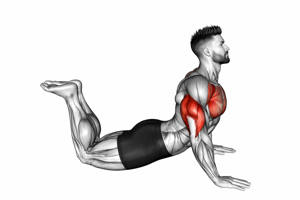 Cobra push-up