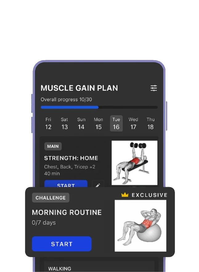 workout animations