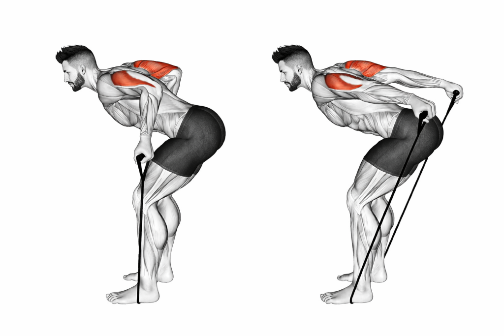 Band Triceps Kickback
