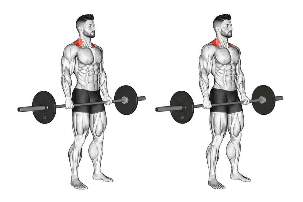 Barbell Behind the Back Shrug