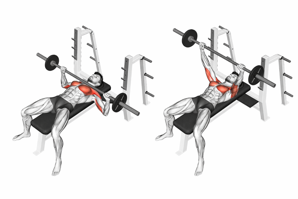 Barbell Bench Press