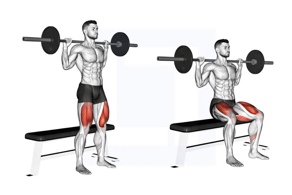 Barbell Bench Squat