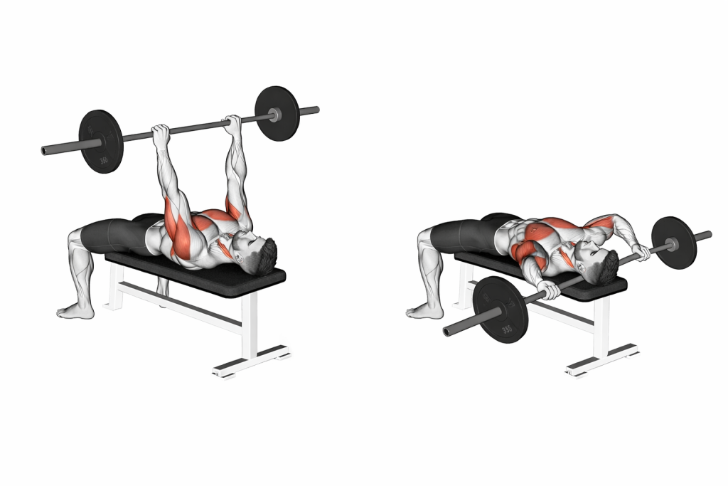 Barbell Bent Arm Pullover