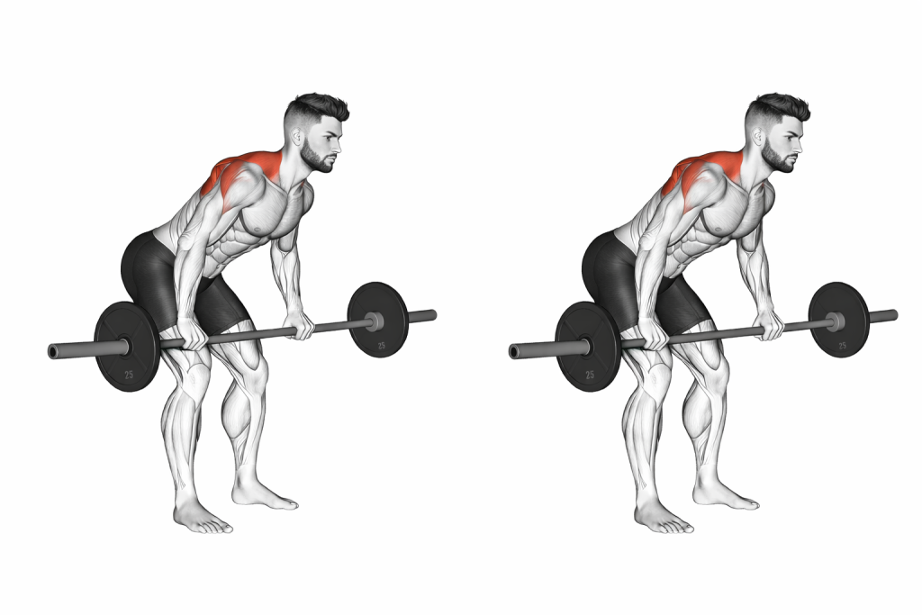 Barbell Bent Over Wide Grip Row