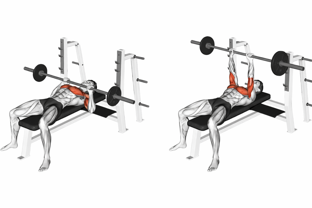 Barbell Close Grip Bench Press