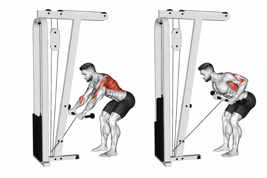 Cable Bent Over Row