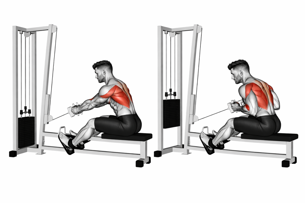 Cable Elevated Row