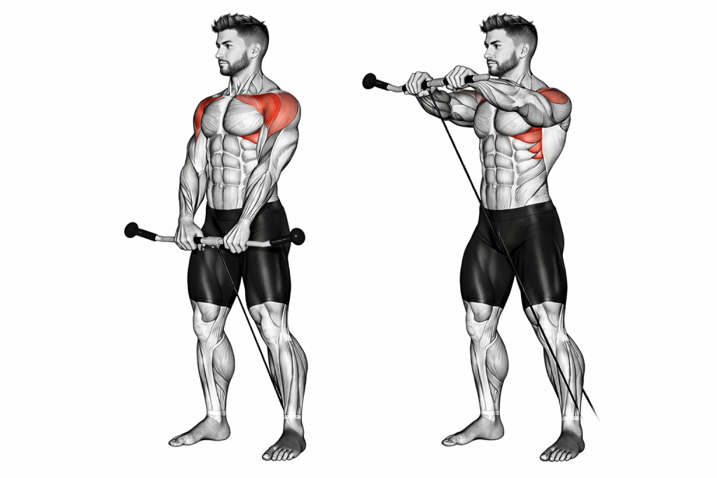 Cable Front Raise