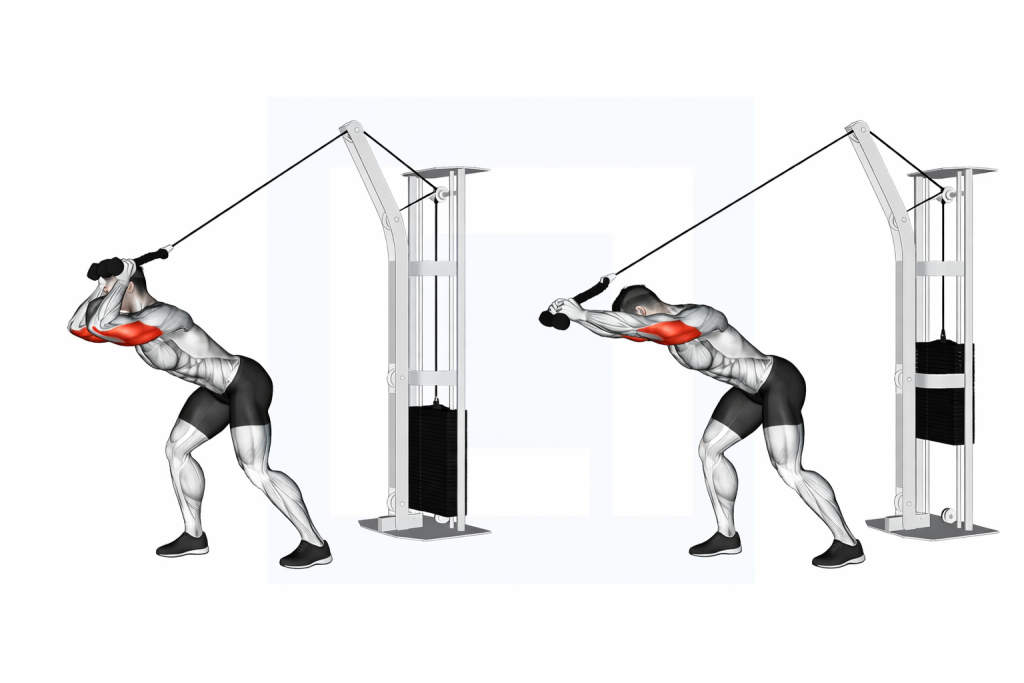 Cable High Pulley Overhead Tricep Extension