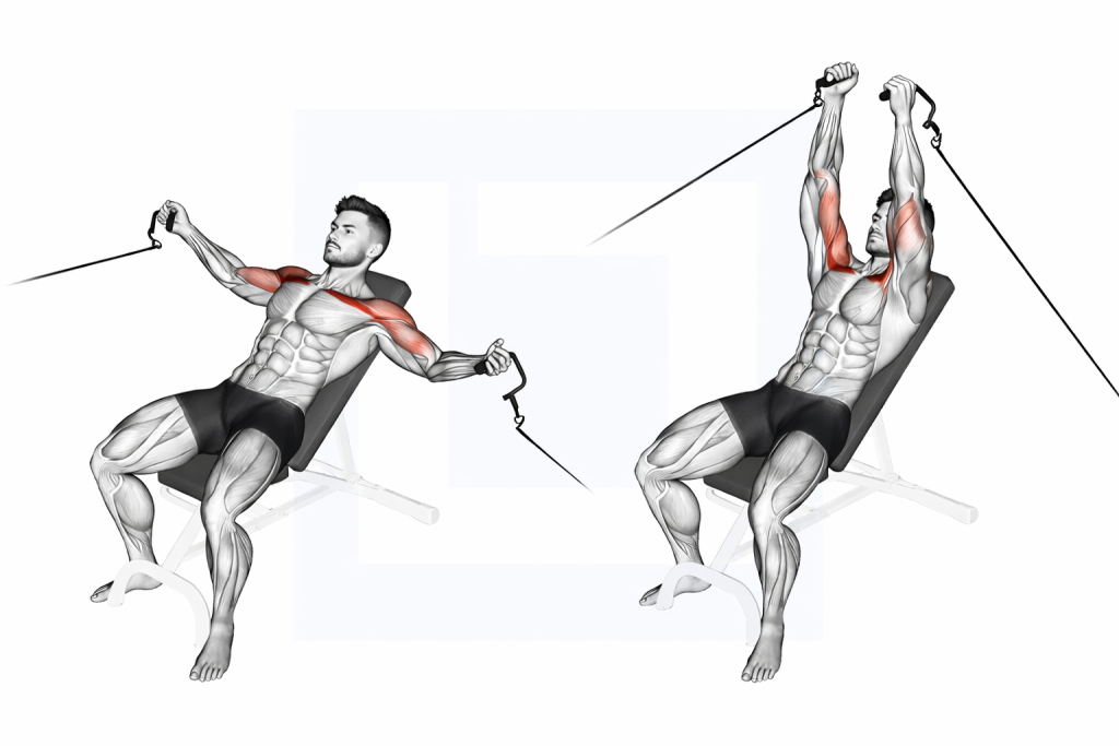 Cable Incline Fly