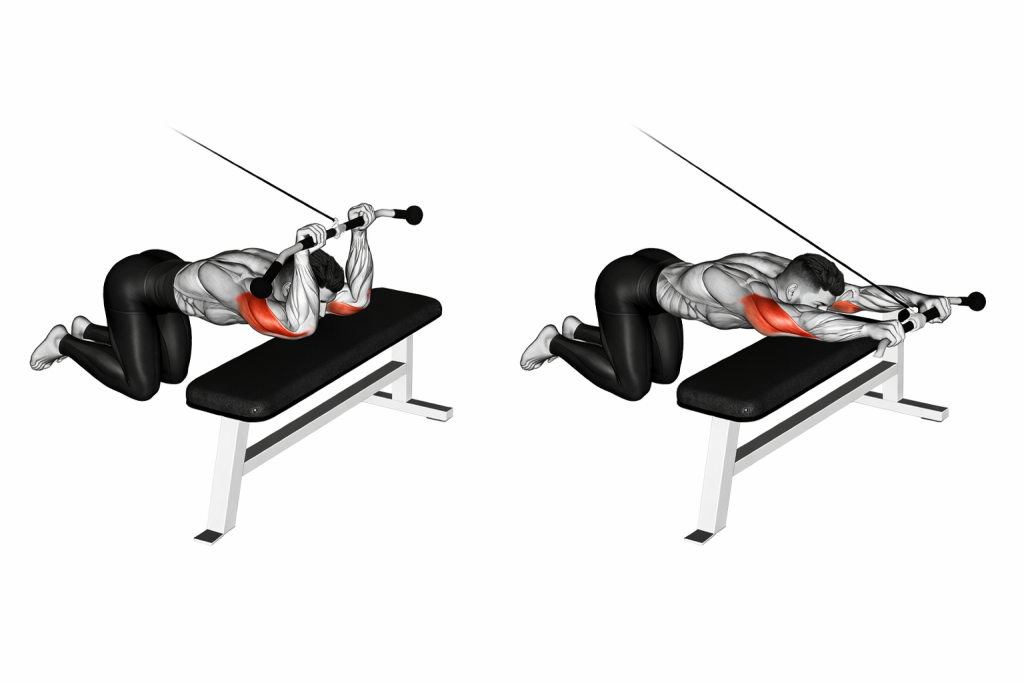 Cable Kneeling Triceps Extension