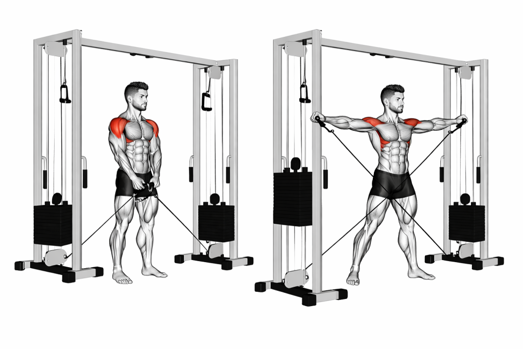 Cable Lateral Raise