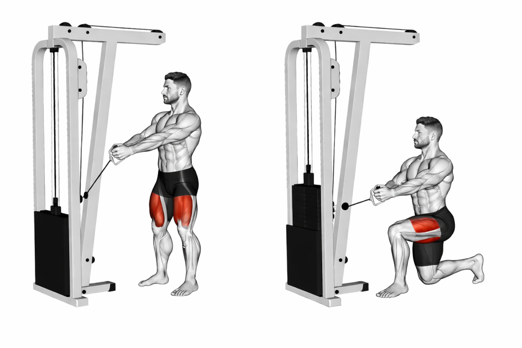 Cable Lunge