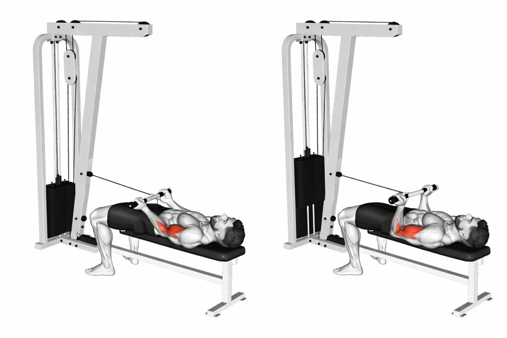 Cable Lying Bicep Curl