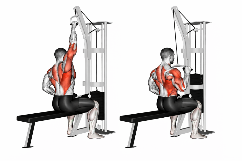 Cable One Arm Lat Pulldown