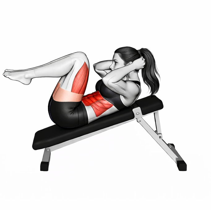 Decline Knee Raise